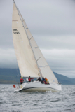 taz gbr3081l whyw13 thur rmc 8446